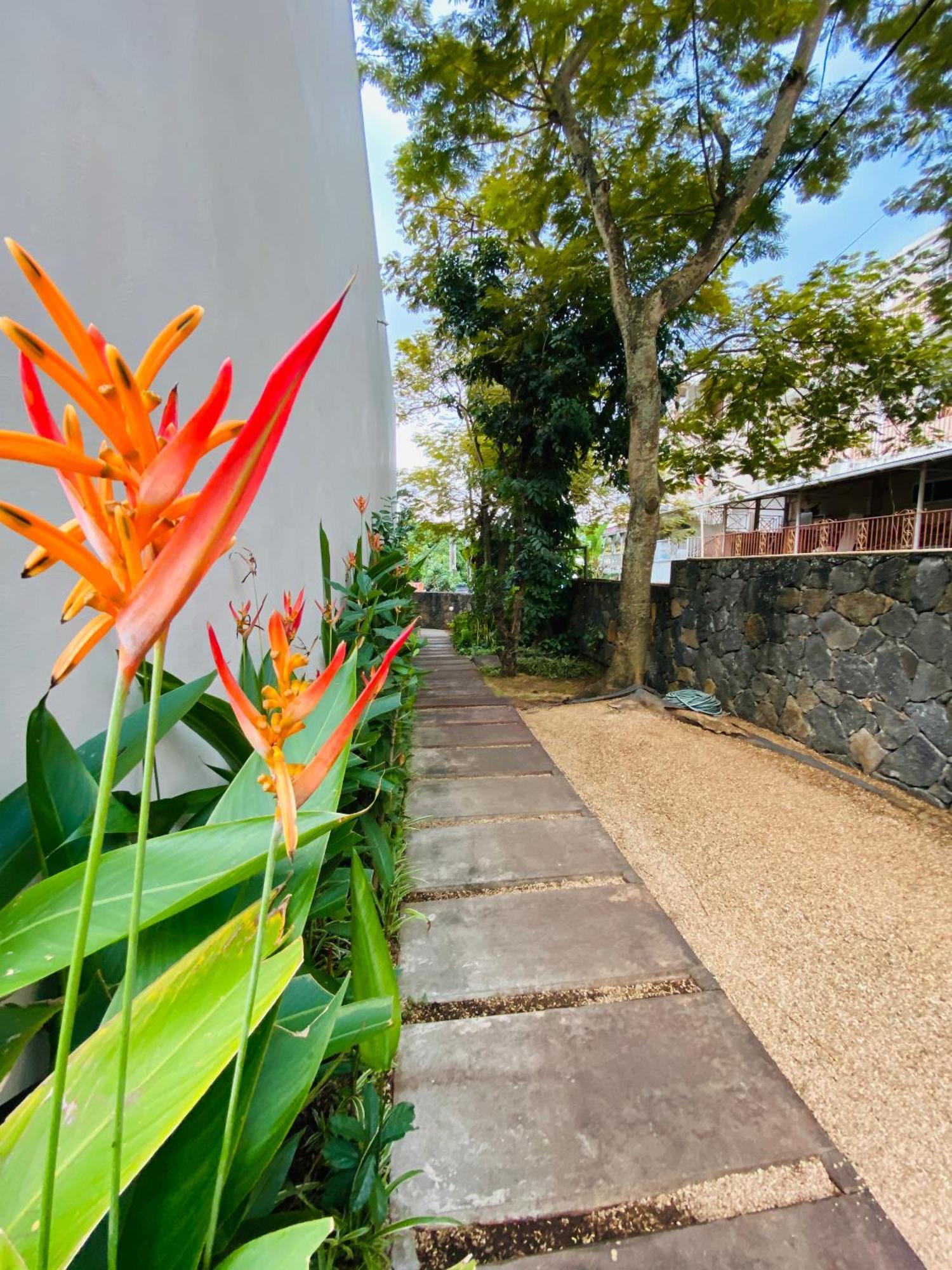 Belle Haven Gf 1Bedroom Flat Mont-Choisy Luaran gambar